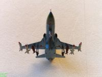 F-5Tiger.021