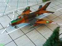 MiG-19S.0016