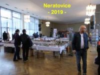 Neratovice-2019